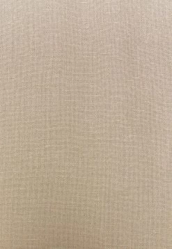 Cream VENTA TUNIC Tunique Timber Wolf Femme -Cream Soldes Boutique 5266924424dd48ee8f5b9604487d09bb